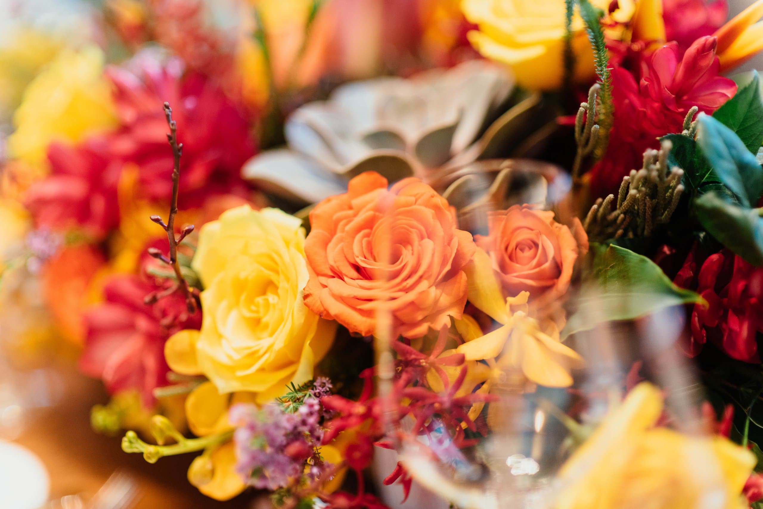 Mixed red, orange and yellow flowers