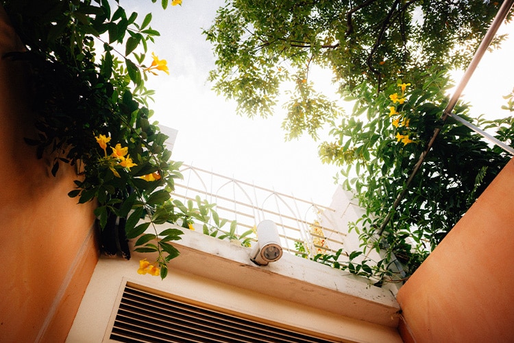 Green Balcony Designs