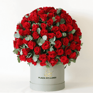 red roses arranged in a round design with eucalyptus in a Plaza Hollanndi hat box
