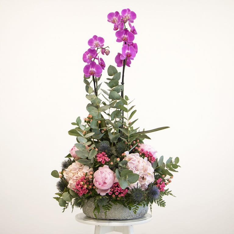 phalaenopsis orchid flower arrangement