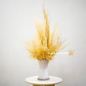 Dried flowers, white vase