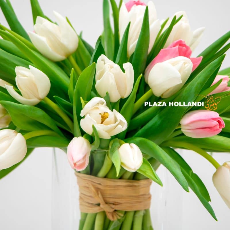 Mix Tulips In A Glass Vase