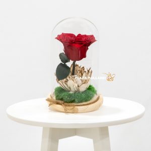 Heart shaped preserved rose
