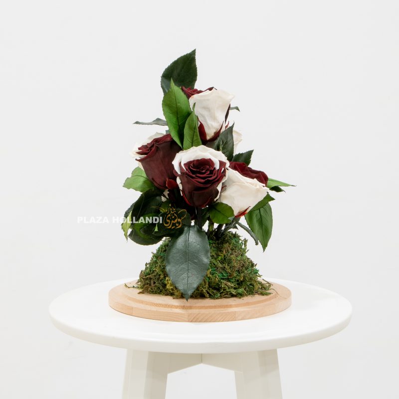 Qatar colours maroon and white preserved roses