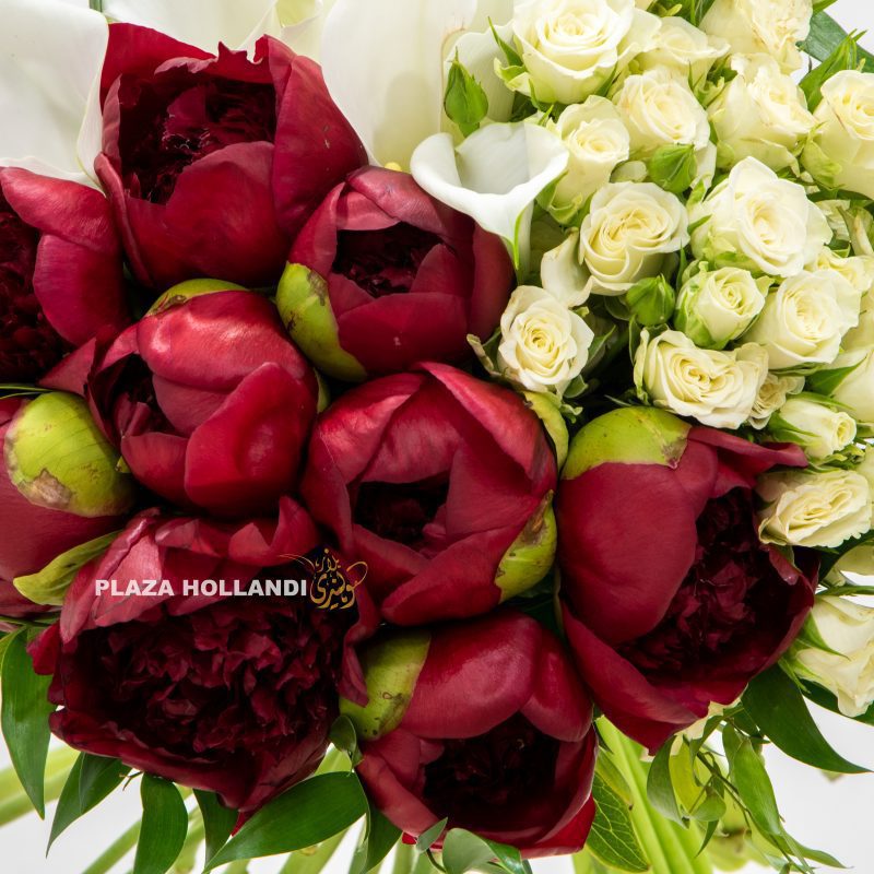 Qatar maroon and white flowers in a bouquet