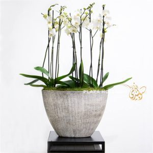 Large orchid flower arrangement