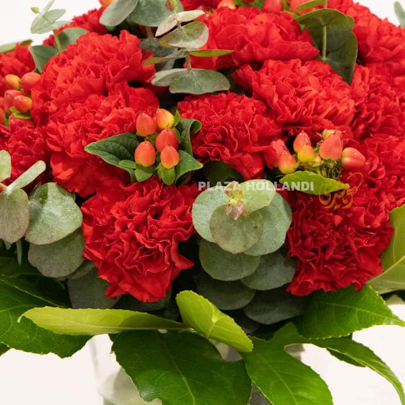 close up of red carnation flower bouquet