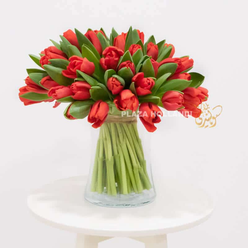 red tulip bouquet of flowers