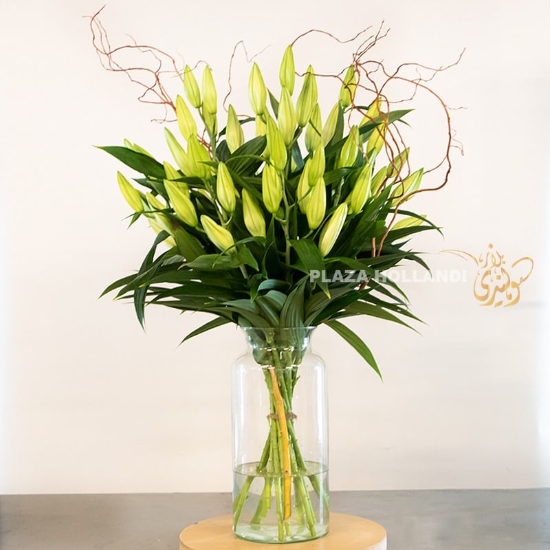 White lillies in a glass vase