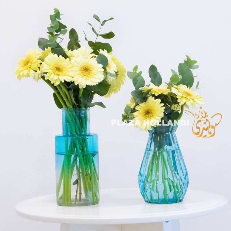 yellow gerbera flowers in two glass vases