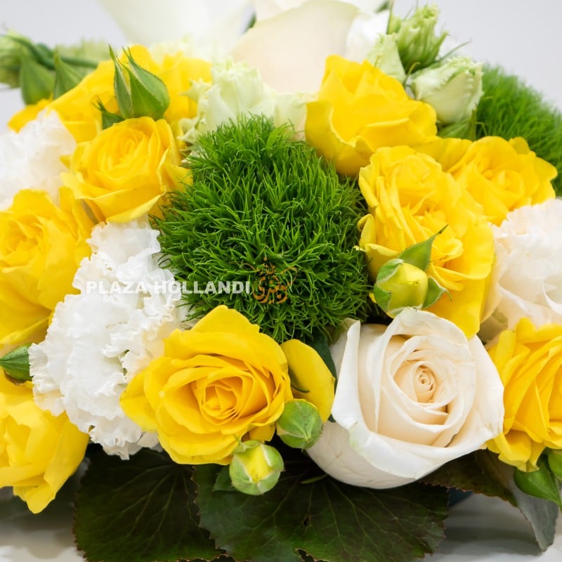 yellow spray rose and white rose flower close up