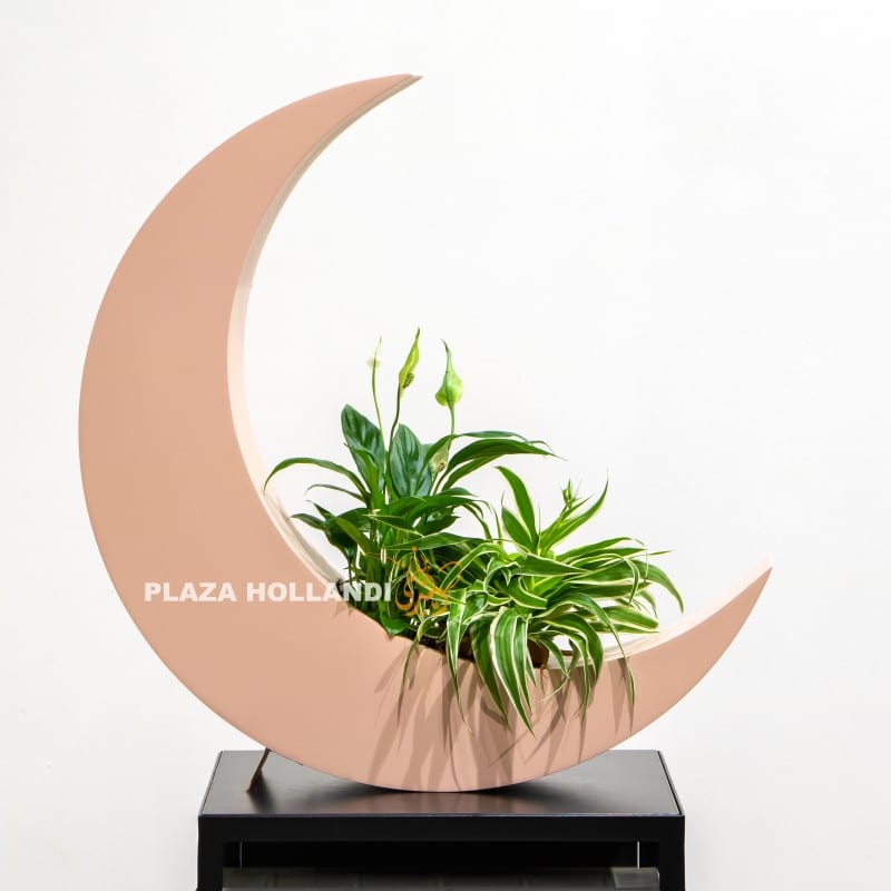Eid moon with Plants