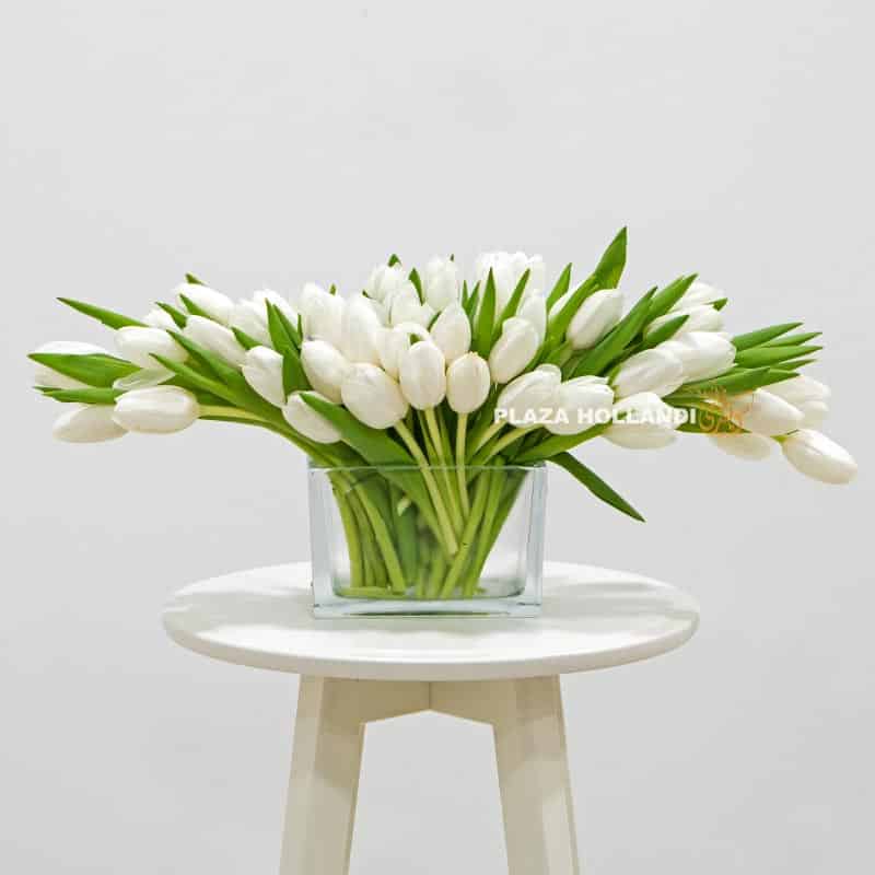 50 White Tulips In a Vase