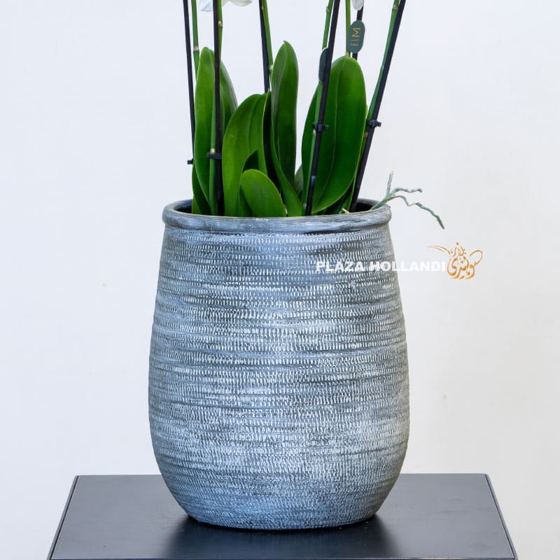 textured plant pot