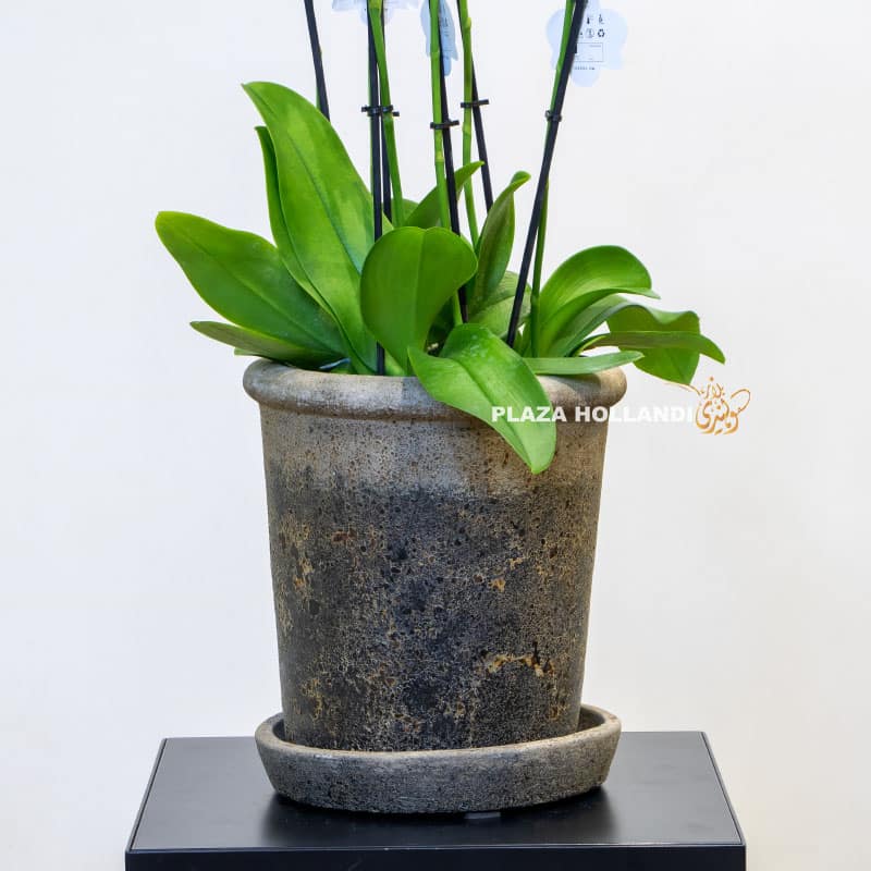 textured planter pot