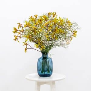Kangaroo Paw and gypsophelia flowers in a vase