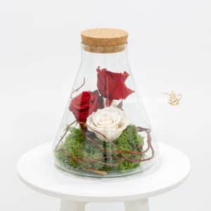 Preserved roses in a vase