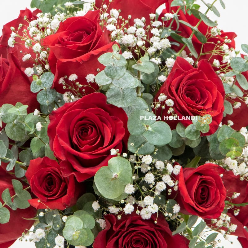 Close up of red and white flower arrangement