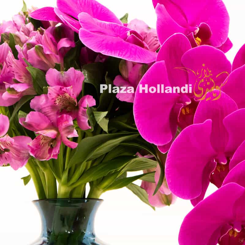 Close up of orchids and alstroemeria
