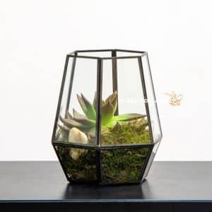 Glass Terrarium with succulent