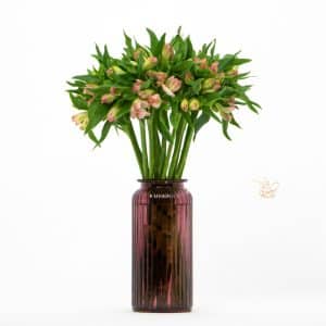 Pink Alstroemeria In A Glass Vase