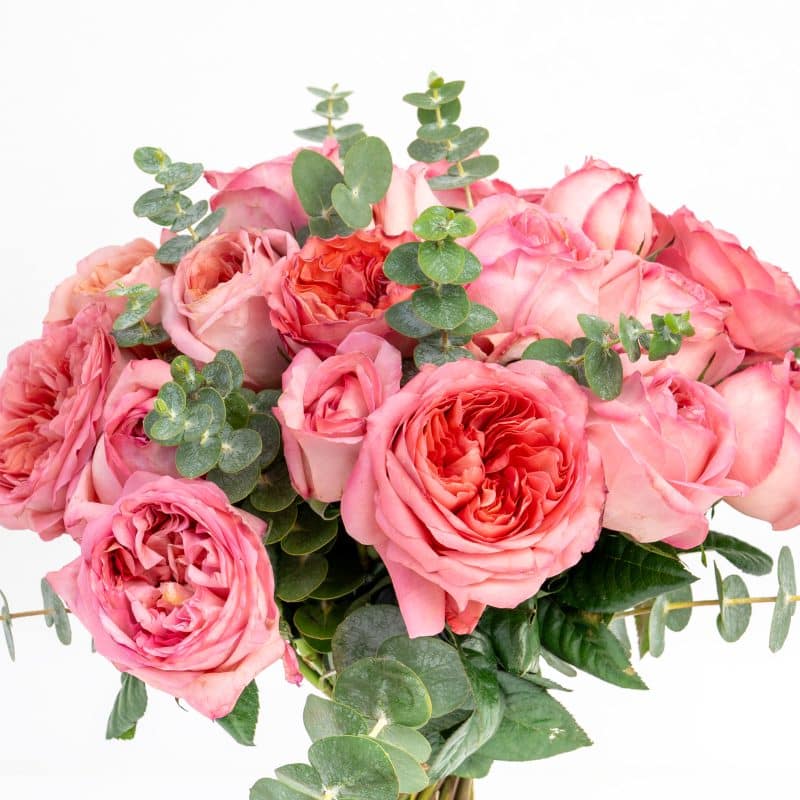 Coral Coloured Roses Bouquet