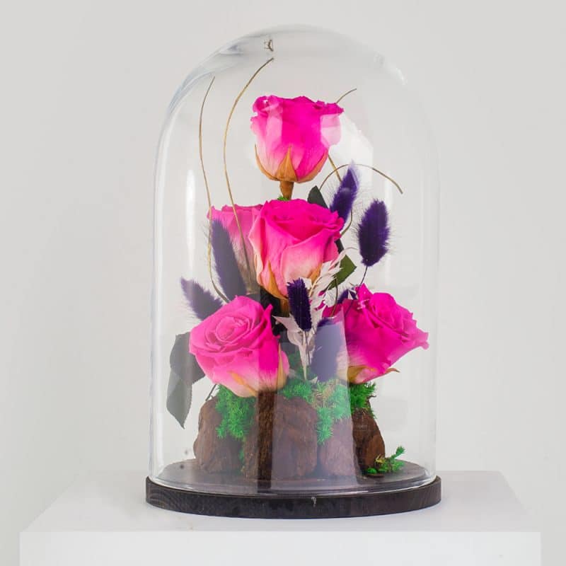 Preserved Flower Gift, Deep Pink Roses In Glass Dome, Eternal Forever