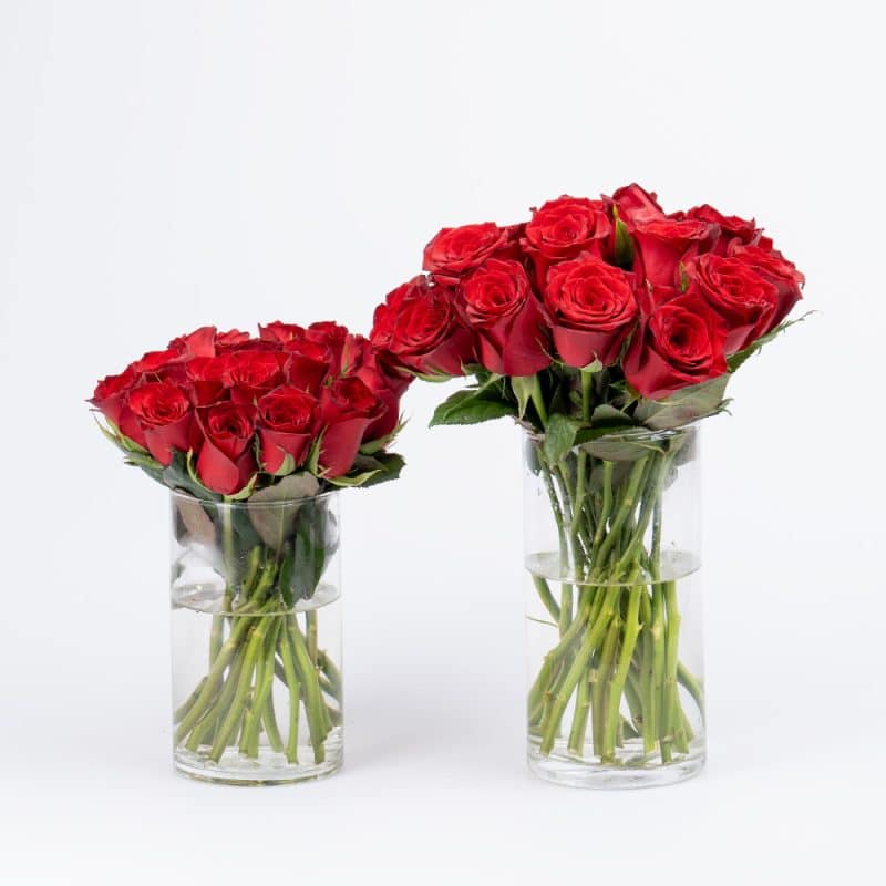 40 Red Roses with Glass Vase