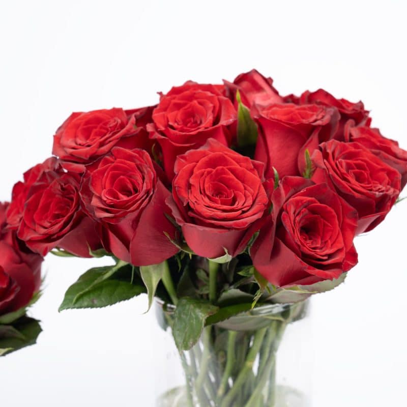 40 Red Roses with Glass Vase