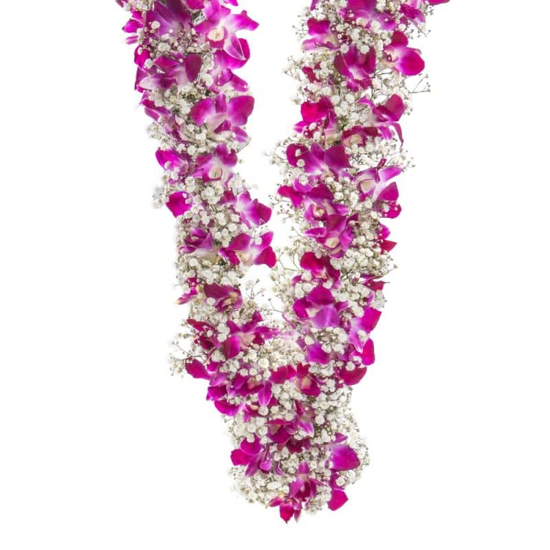 Orchid and Gypsophila Floral Garland