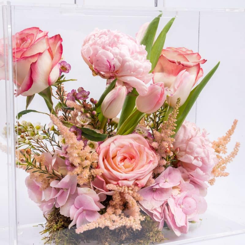 Peony and Tulips Perfection Clear Box