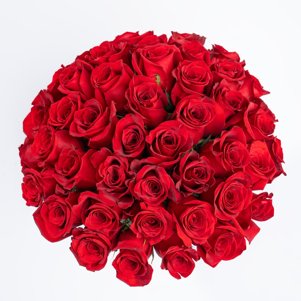 J2 75 Roses of Love