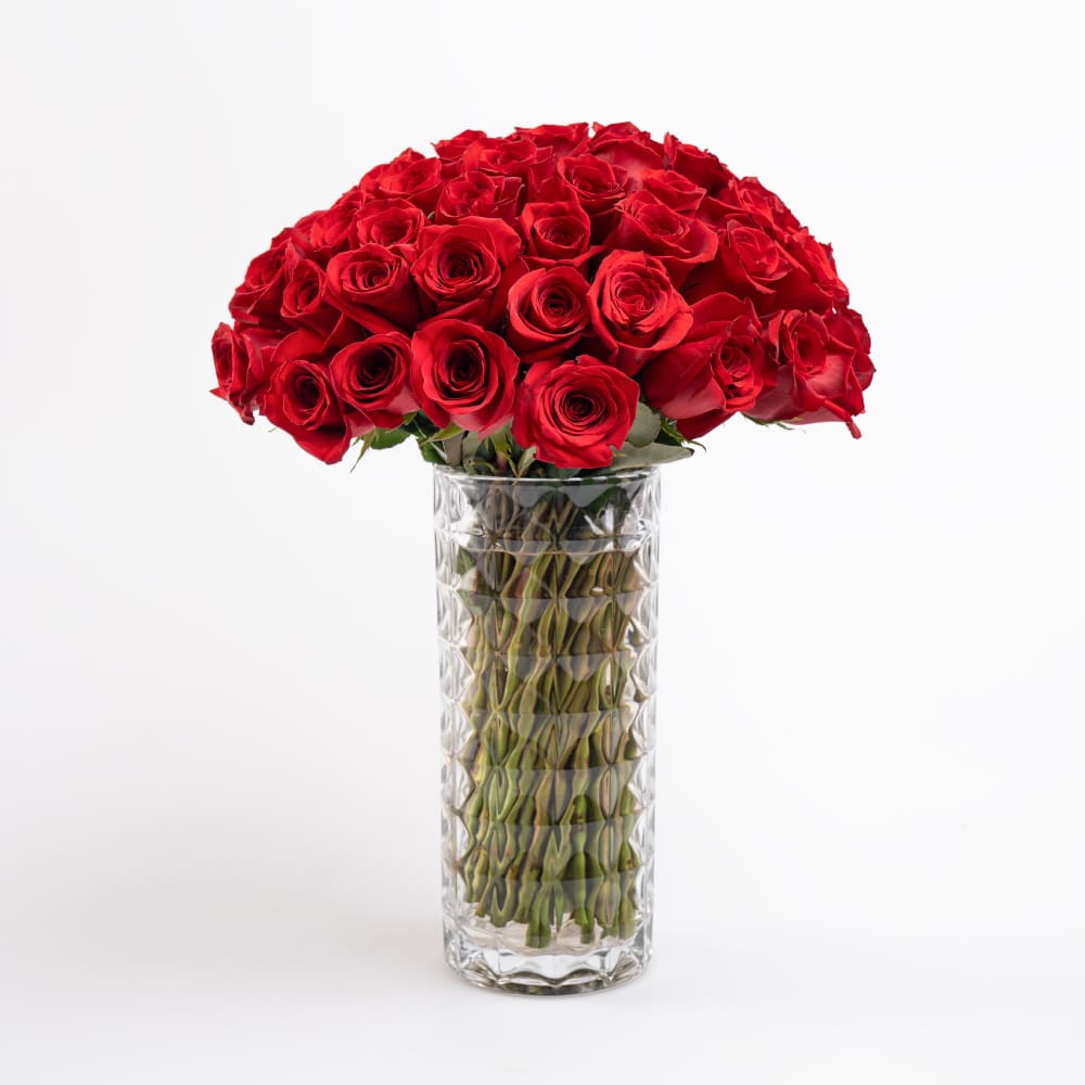 K1 75 Roses of Love