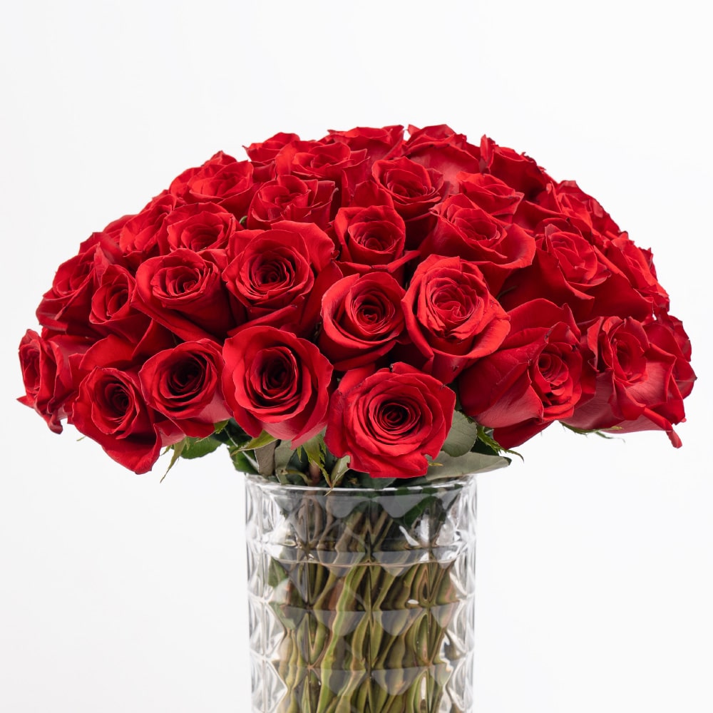 K2 75 Roses of Love