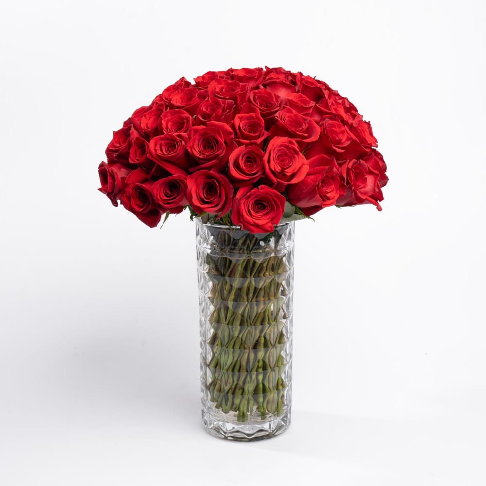 K3 75 Roses of Love