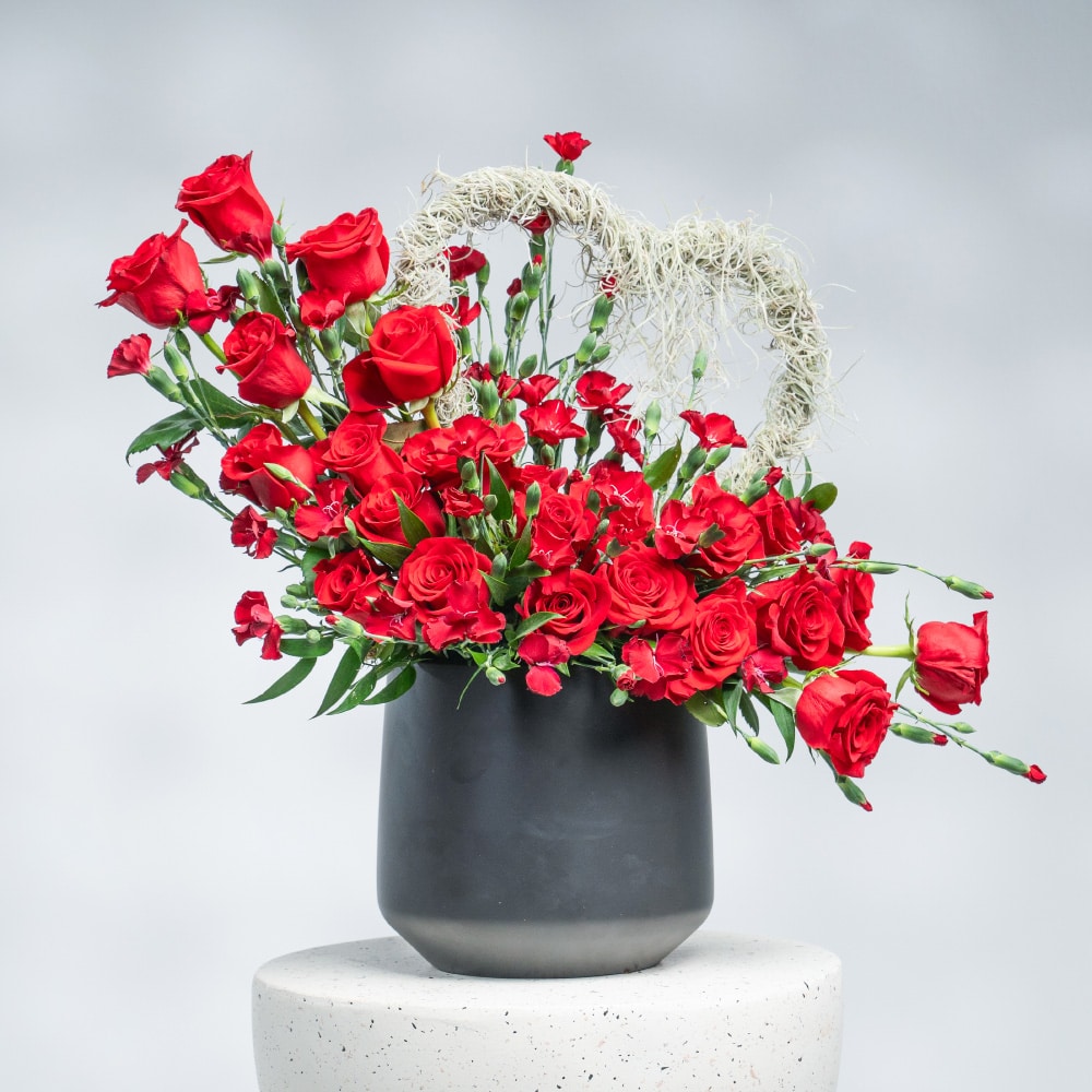 A14 Velvet Red Heart: Roses, Spray Carnation & Air Plant in Black Pot (50 cm)