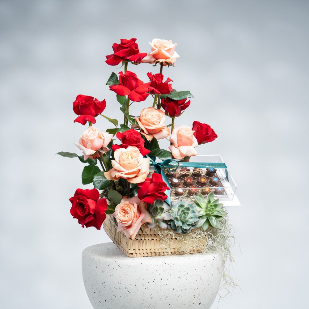A15 Red & Peach Roses with Echeveria (H 58 cm) and Chocolate