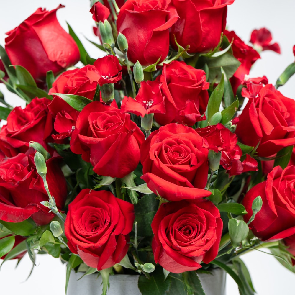 A20.1 Romantic Blooms: Red Roses & Spray Carnation with Pot (H 50 cm)