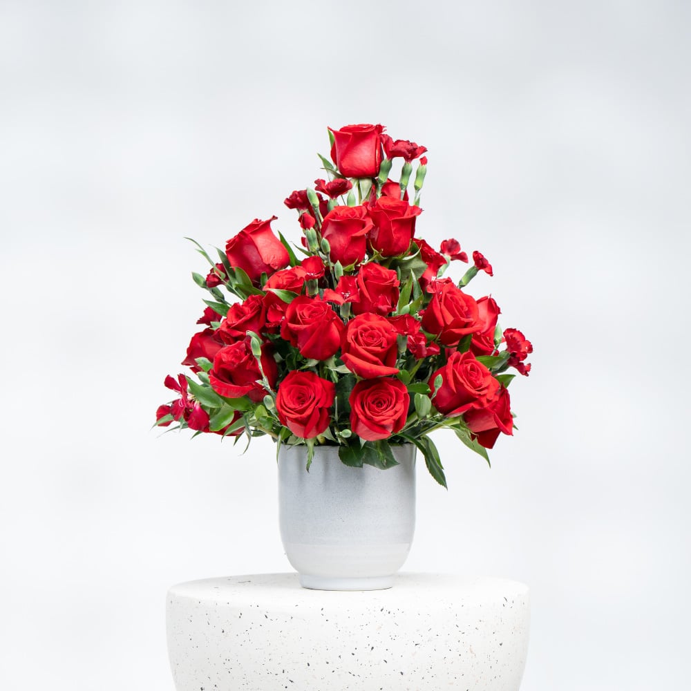 A20 Romantic Blooms: Red Roses & Spray Carnation with Pot (H 50 cm)