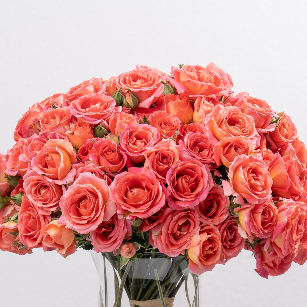 DSC07539-2 Dark Orange Spray Roses in Glass Vase