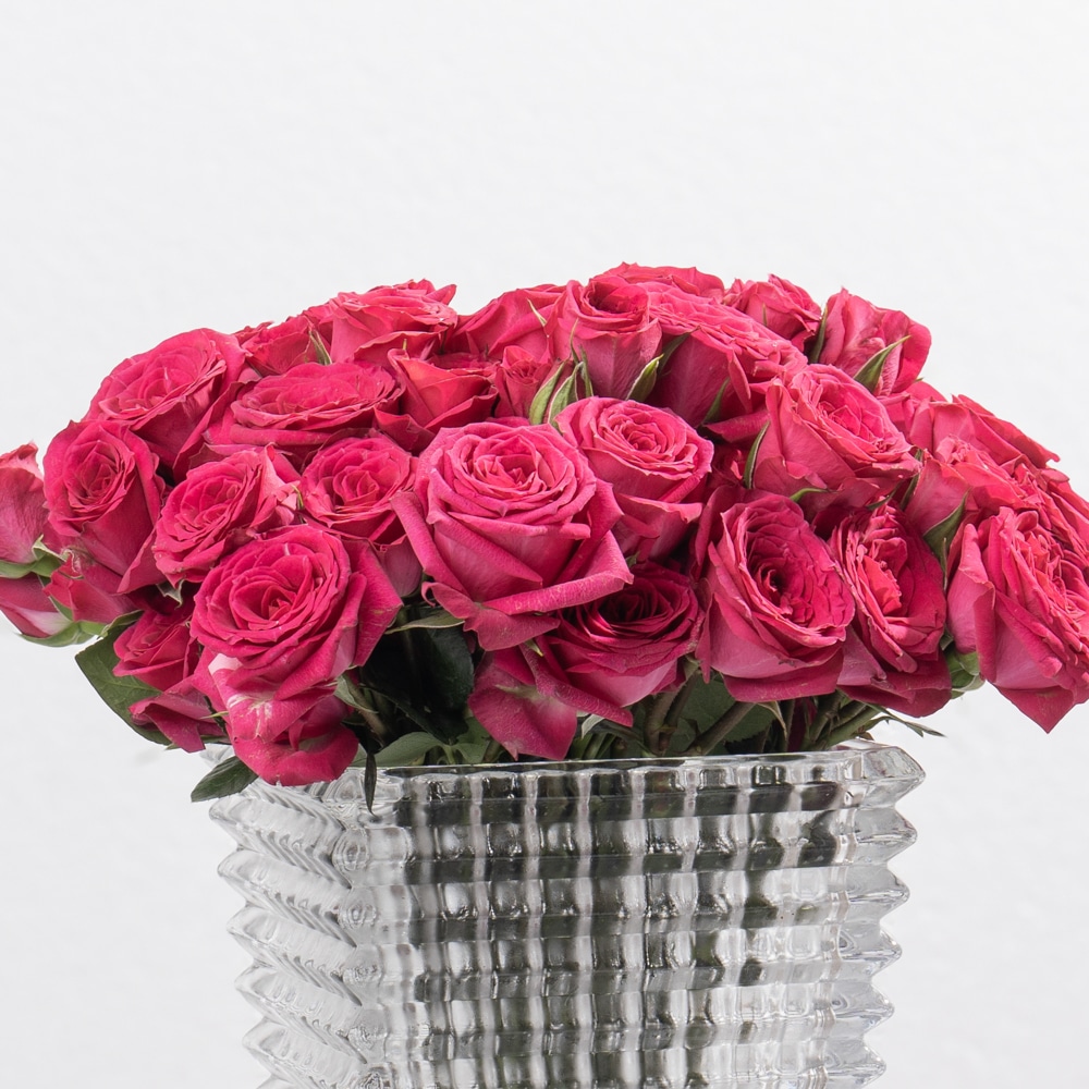 DSC07551-2 Fuchsia Spray Roses in Glass Vase - 28 cm (Height )