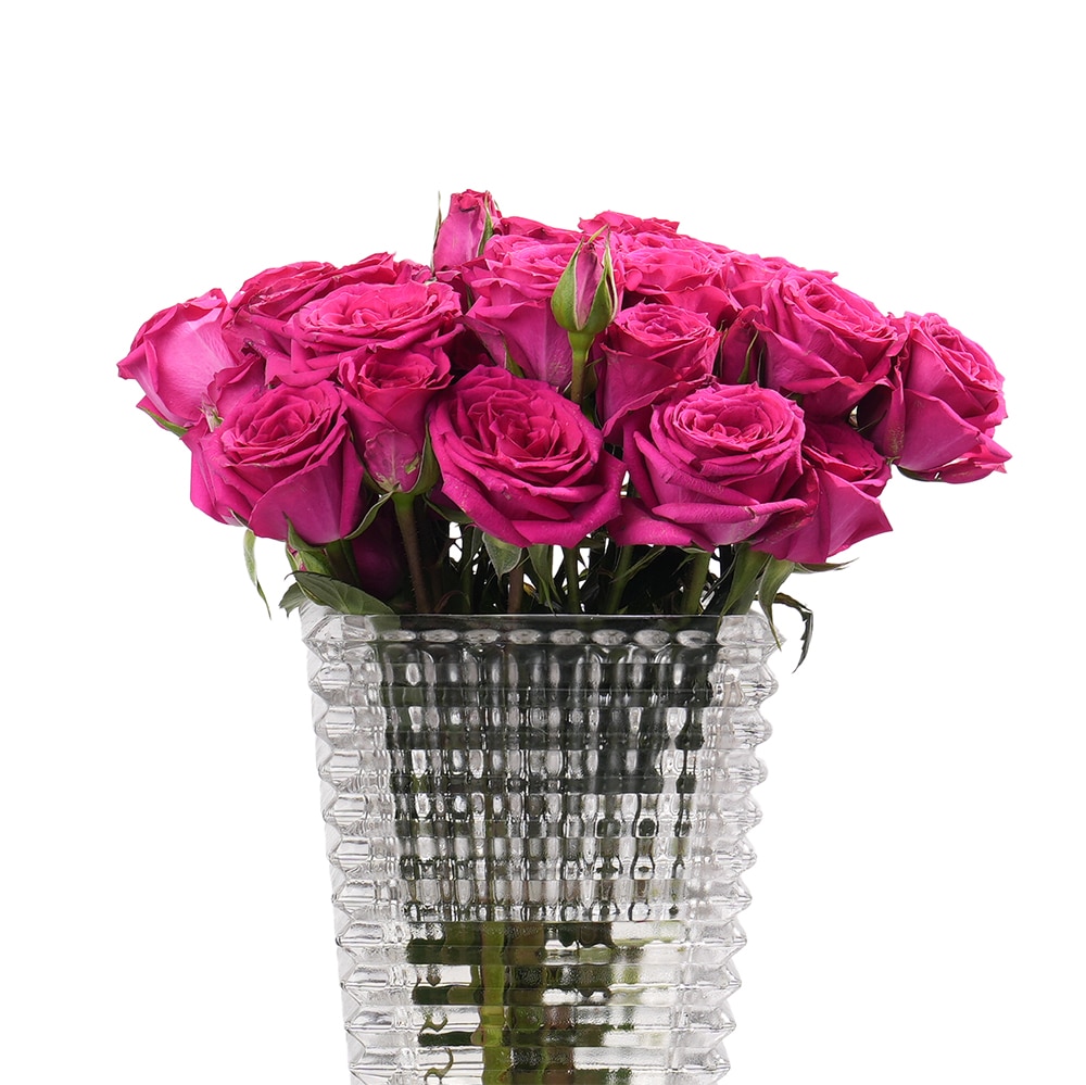 DSC07552-2 Fuchsia Spray Roses in Glass Vase - 22 cm (Height )
