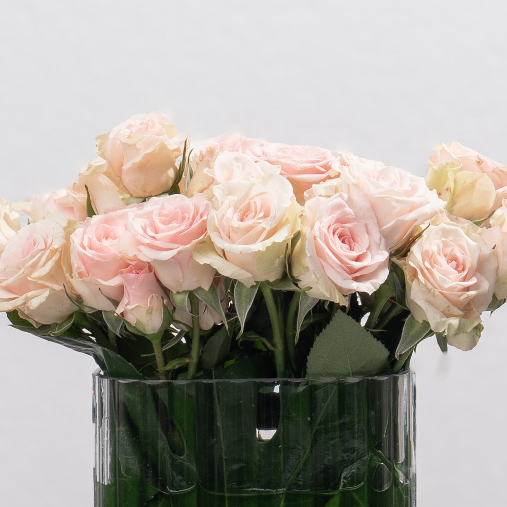 DSC07570-2 Peach Spray Roses in Rectangular Glass Vase - 14 cm