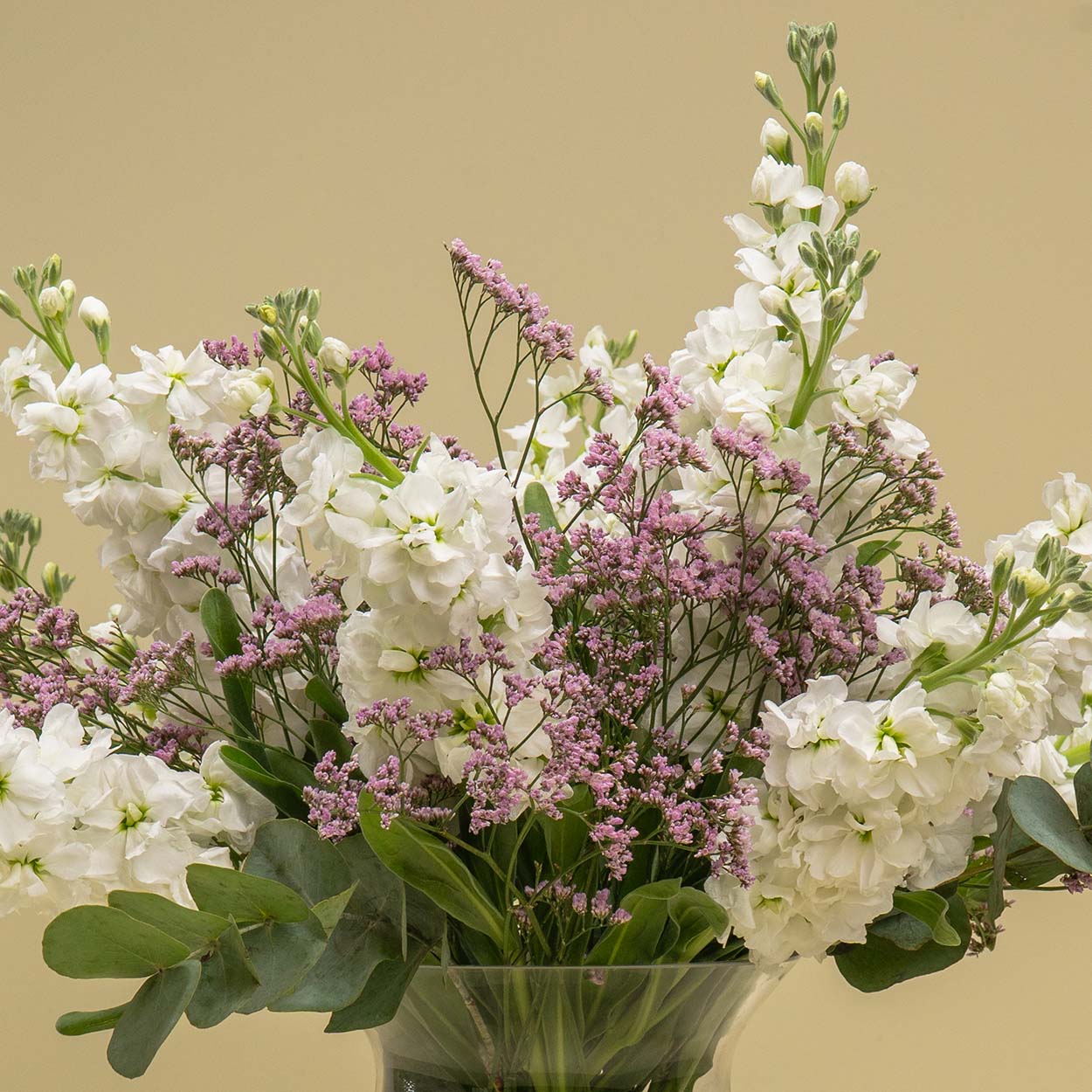DSC06864-2 Fragrant Whispers – Sweet Mattiola and Ethereal Pink Limonium