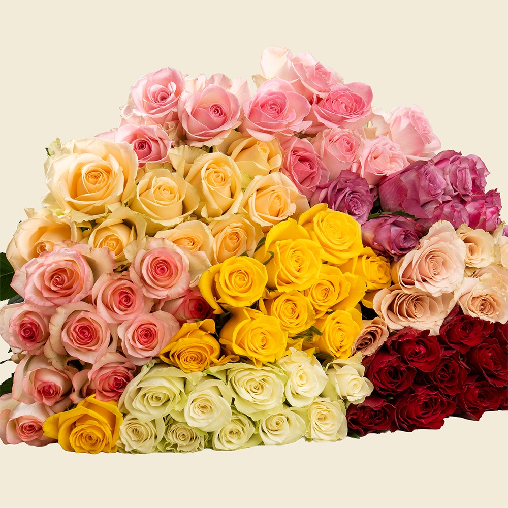 05.1 80 Mixed Roses Bunch – Vibrant Fresh Bouquet for Grand Celebrations & Special Occasions