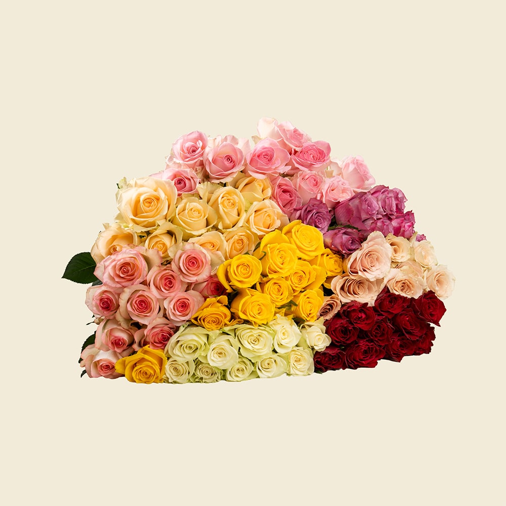 05 80 Mixed Roses Bunch
