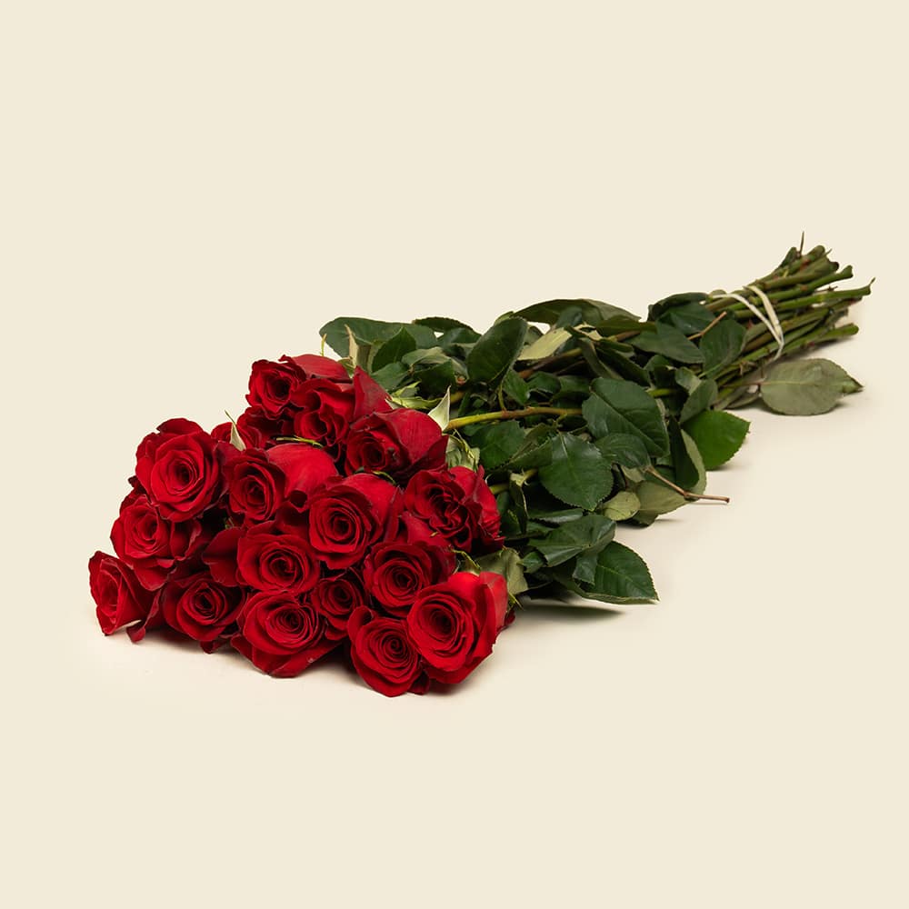 25 Red Roses Bunch