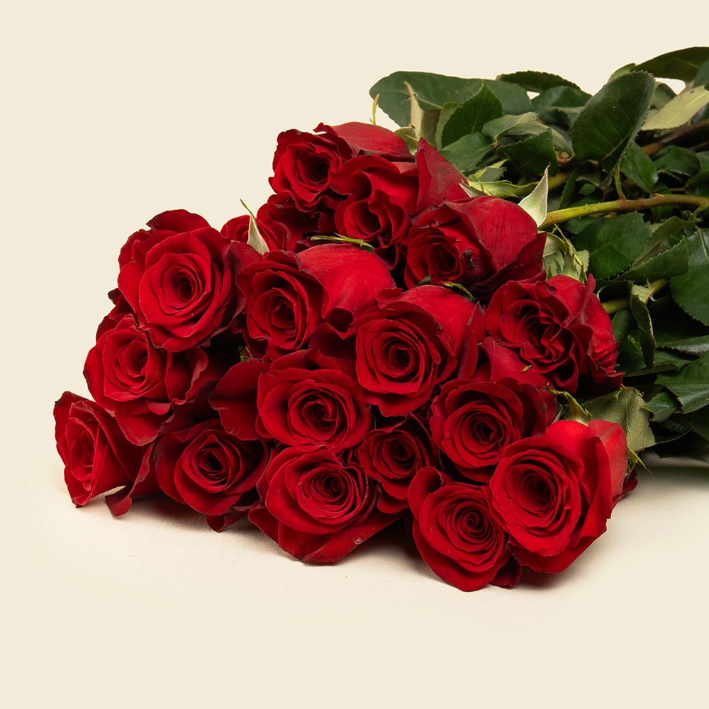 25 Red Roses Bunch