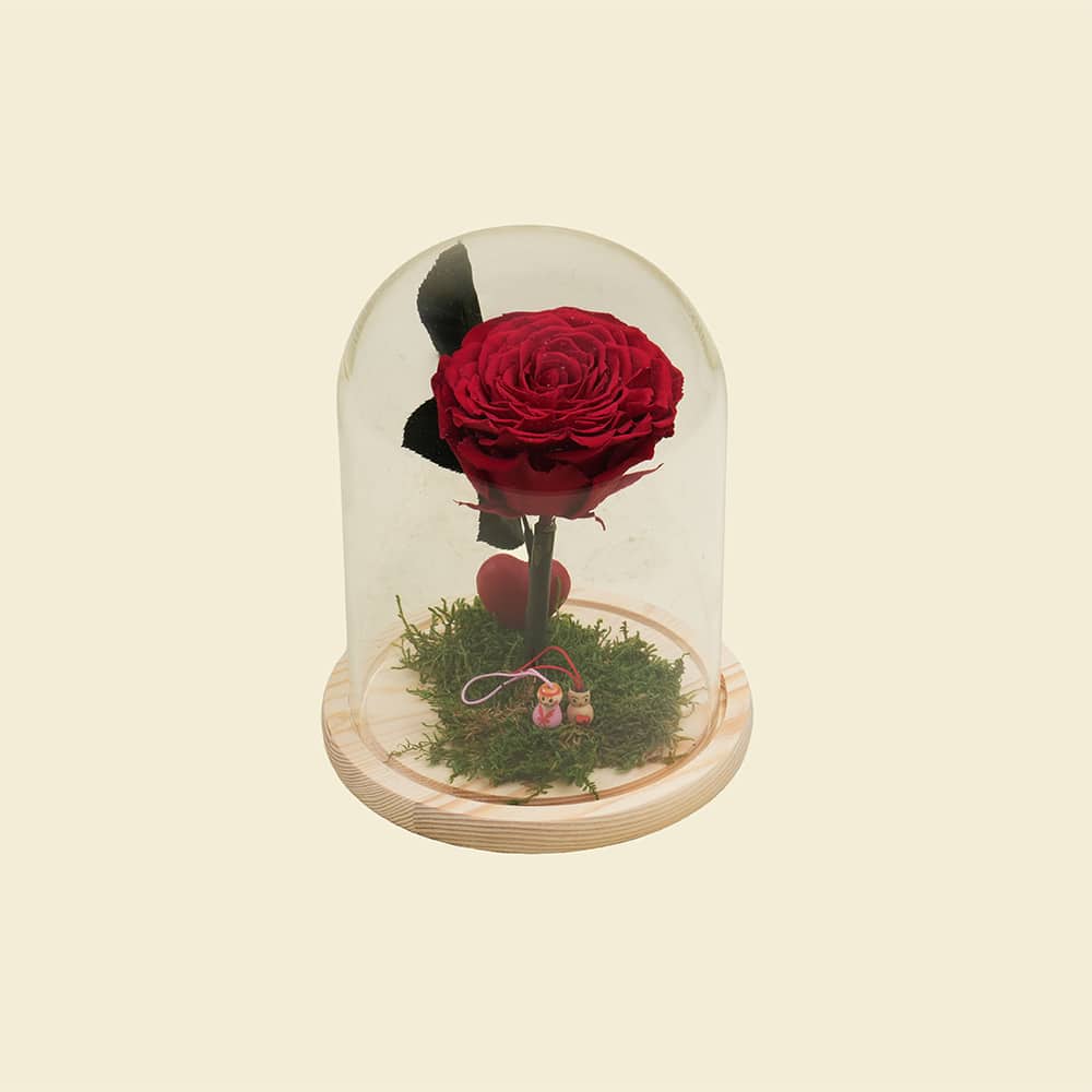 DSC09459.jpg-1.jpeg Preserved Red Rose in Glass Dome | Eternal Fairytale Gift