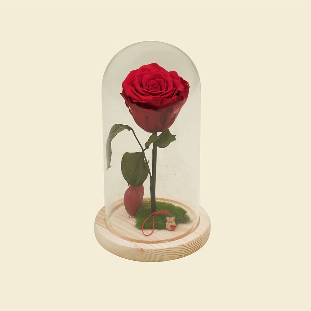 DSC09460.jpg-1.jpeg The Eternal Love Enchanted Red Rose in Glass Dome